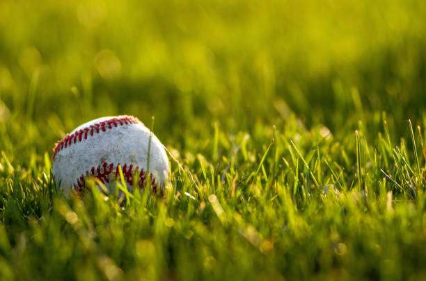 Baseball glove and ball on grass in brightly lit outdoor stadium.